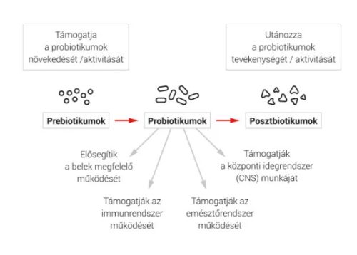 DuoLife Clinical Formula ProBactilardii